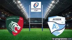 Leicester Tigers / Bayonne