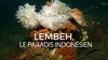 Lembeh, le paradis indonésien