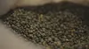 2019 • Lentilles, retour vers l'aliment du futur