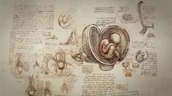 Léonard de Vinci, accélérateur de science