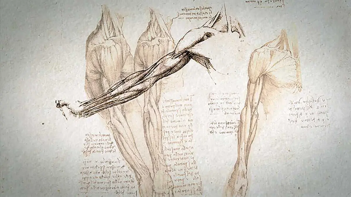 Léonard de Vinci, accélérateur de sciences