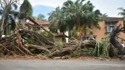 Les 10 catastrophes qui ont marqué la planète Tornades