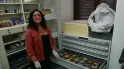 Les 10 merveilles de l'antiquité