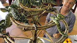 Visuel de Les 10 serpents les plus dangereux