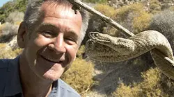 Les 10 serpents les plus dangereux Europe