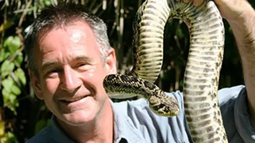 Les 10 serpents les plus dangereux Du Costa Rica