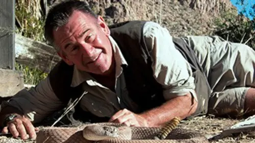 Les 10 serpents les plus dangereux Des Etats-Unis