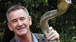 Sur France 4 à 22h25 : Les 10 serpents les plus dangereux