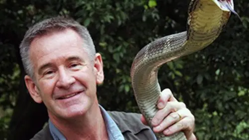 Les 10 serpents les plus dangereux D'Afrique du Sud