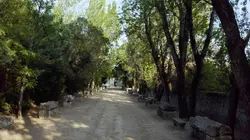 Les 100 lieux qu'il faut voir La Provence de Van Gogh