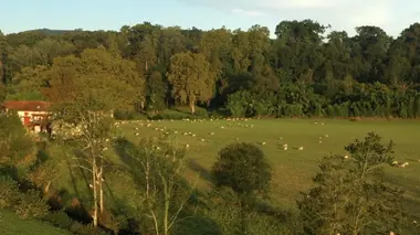 Sur le chemin de Compostelle, de la Bourgogne aux Pyrénées