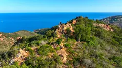 Visuel de Les 100 lieux qu'il faut voir