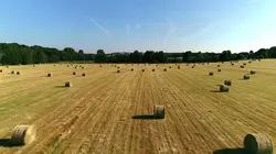 Les 100 lieux qu'il faut voir S07E03 Le Perche, terre de manoirs et de bocages