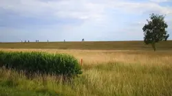Les 100 lieux qu'il faut voir S07E06 La champagne, territoire d'histoire et de vignobles