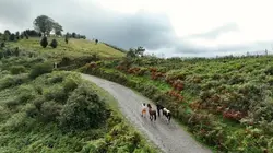 Les 100 lieux qu'il faut voir Sur le chemin des Basques, de la mer à la montagne