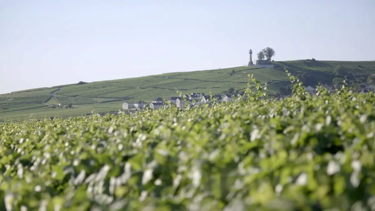 Les 100 lieux qu'il faut voir La Champagne, territoire d'histoire et de vignobles