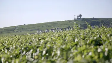 La Champagne, territoire d'histoire et de vignobles