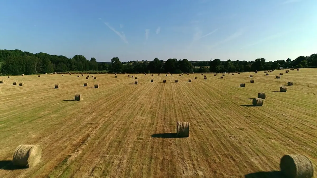 Les 100 lieux qu'il faut voir Le Perche, terre de manoirs et de bocages