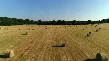 Le Perche, terre de manoirs et de bocages