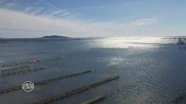 Au fil du canal du Midi, de Toulouse à l'étang de Thau