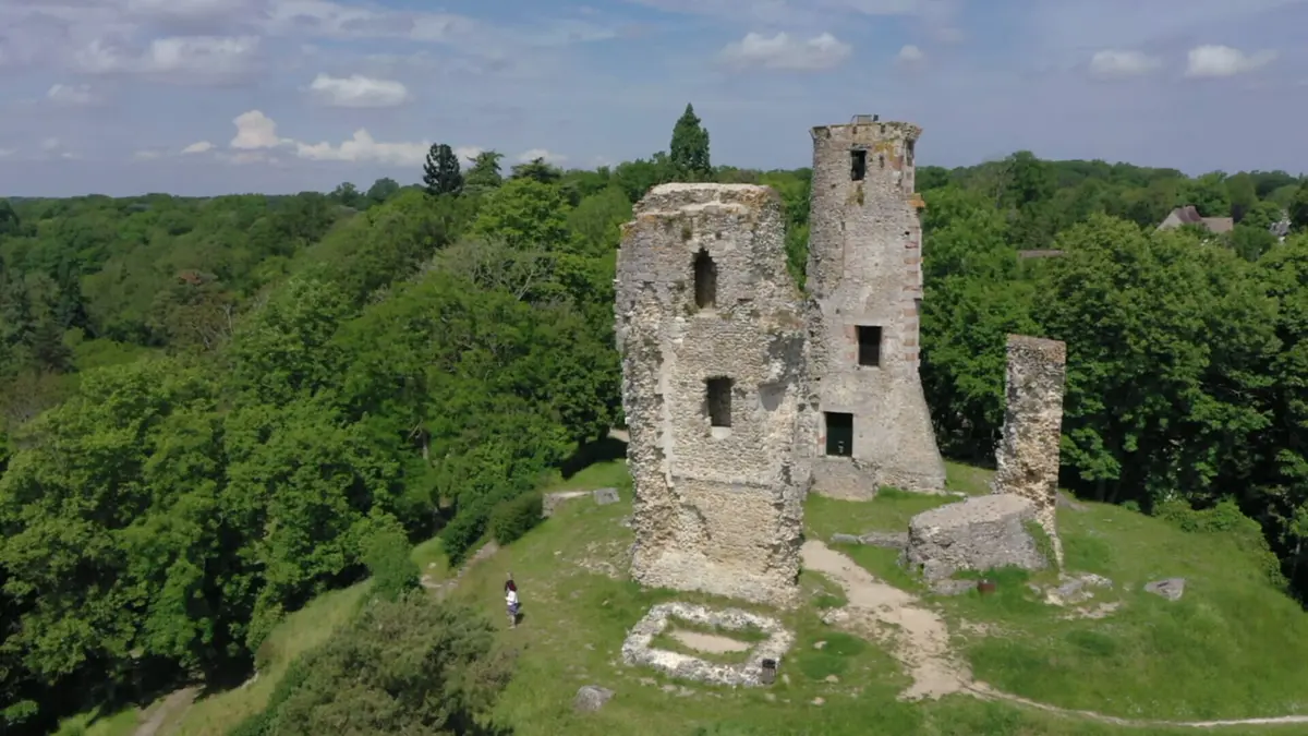 Les 100 lieux qu'il faut voir Les Yvelines, petites et grandes histoires d'une région