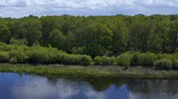 Les 100 lieux qu'il faut voir La Sologne, l'écrin aux 3000 étangs