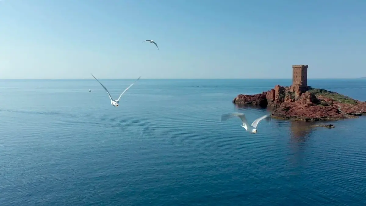 Les 100 lieux qu'il faut voir Balade provençale, du Verdon à l'Esterel