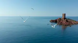 Les 100 lieux qu'il faut voir Balade provençale, du Verdon à l'Esterel