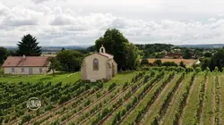 Visuel de Les 100 lieux qu'il faut voir