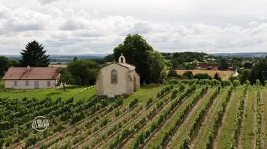 L'Allier : de Vichy aux méandres de l'Allier