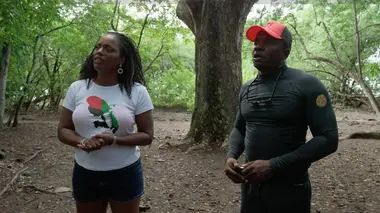 Les 100 lieux qu'il faut voir La Martinique, une histoire créole