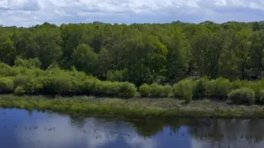 Les 100 lieux qu'il faut voir La Sologne, l'écrin aux 3000 étangs