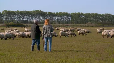 Les 100 lieux qu'il faut voir Le sentier des douaniers, du Mont-Saint-Michel à Quiberon