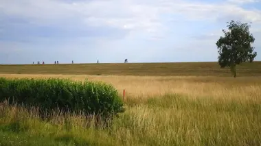 Les 100 lieux qu'il faut voir S07E06 La champagne, territoire d'histoire et de vignobles