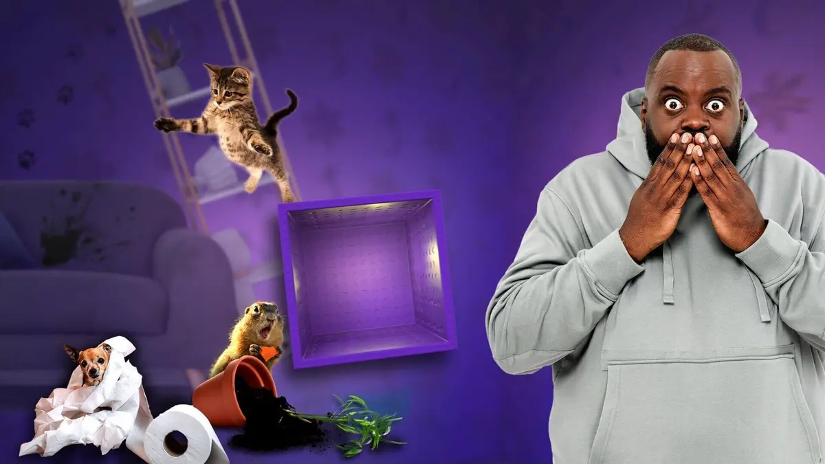 Les 100 vidéos qui ont fait rire le monde entier Spéciale les animaux pètent les plombs