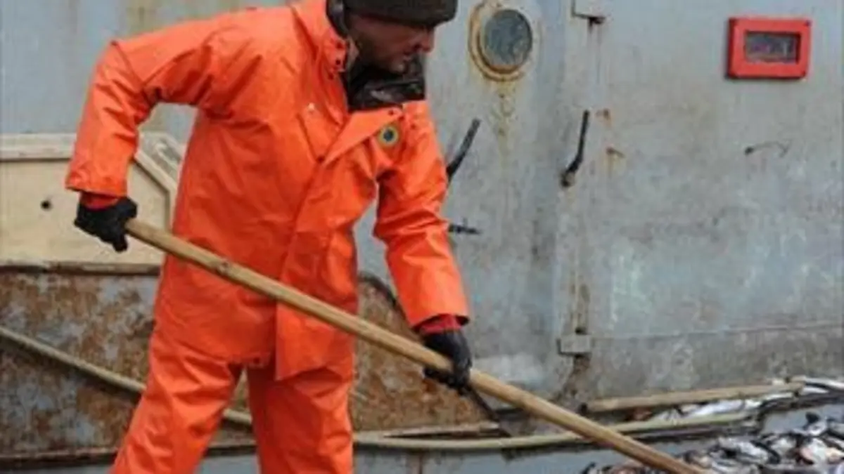 Les 12 travaux de Vinnie Jones