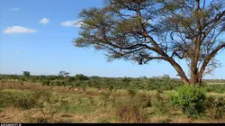 Les 20 chefs-d'oeuvre de la nature E01 Parc national de Méru (Kenya)