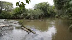 Les 20 chefs-d'oeuvre de la nature