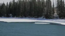 Les 20 chefs-d'oeuvre de la nature