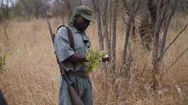 Parc national des Abruzzes