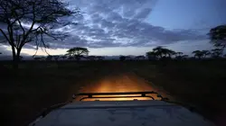 Les 20 chefs-d'oeuvre de la nature