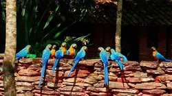 Les 20 chefs-d'oeuvre de la nature