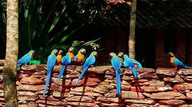 Parc national de Chapada dos Veadeiros (Brésil)