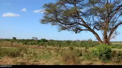 Les 20 chefs-d'oeuvre de la nature