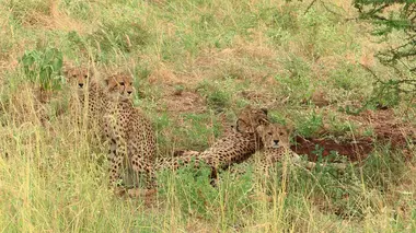 Parc national de Banff