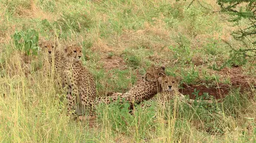 Les 20 chefs d'oeuvre de la nature E10 Parc national de Banff