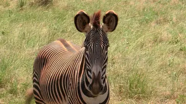 Parc national des lacs de Plitvice (Croatie)