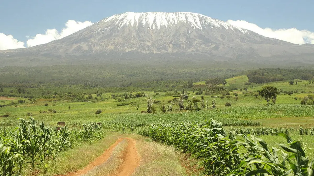 Épisodes de Les 20 chefs-d'oeuvre de la nature