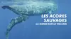 Les Açores sauvages - La danse sur le volcan
