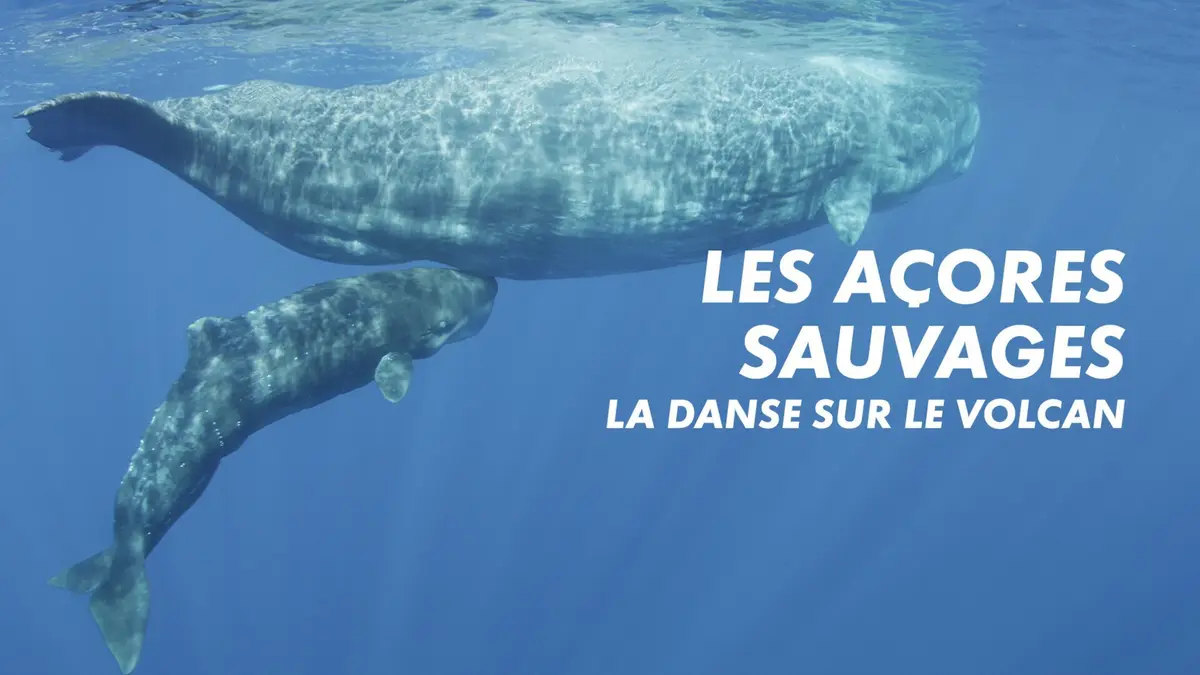 Les Açores sauvages - La danse sur le volcan